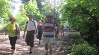 DGV-Wanderung 2013