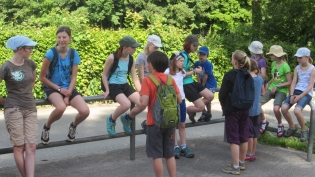 DGV-Wanderung 2013