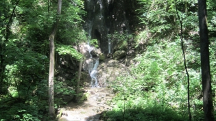 DGV-Wanderung 2013