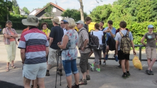 DGV-Wanderung 2013