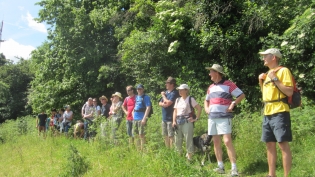 DGV-Wanderung 2013