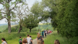 DGV-MGV Wanderung 2014