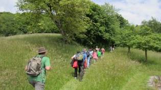 DGV-MGV Wanderung 2014
