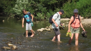 DGV-Wanderung 2015