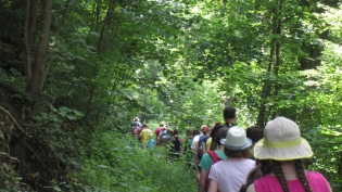 DGV-Wanderung 2015